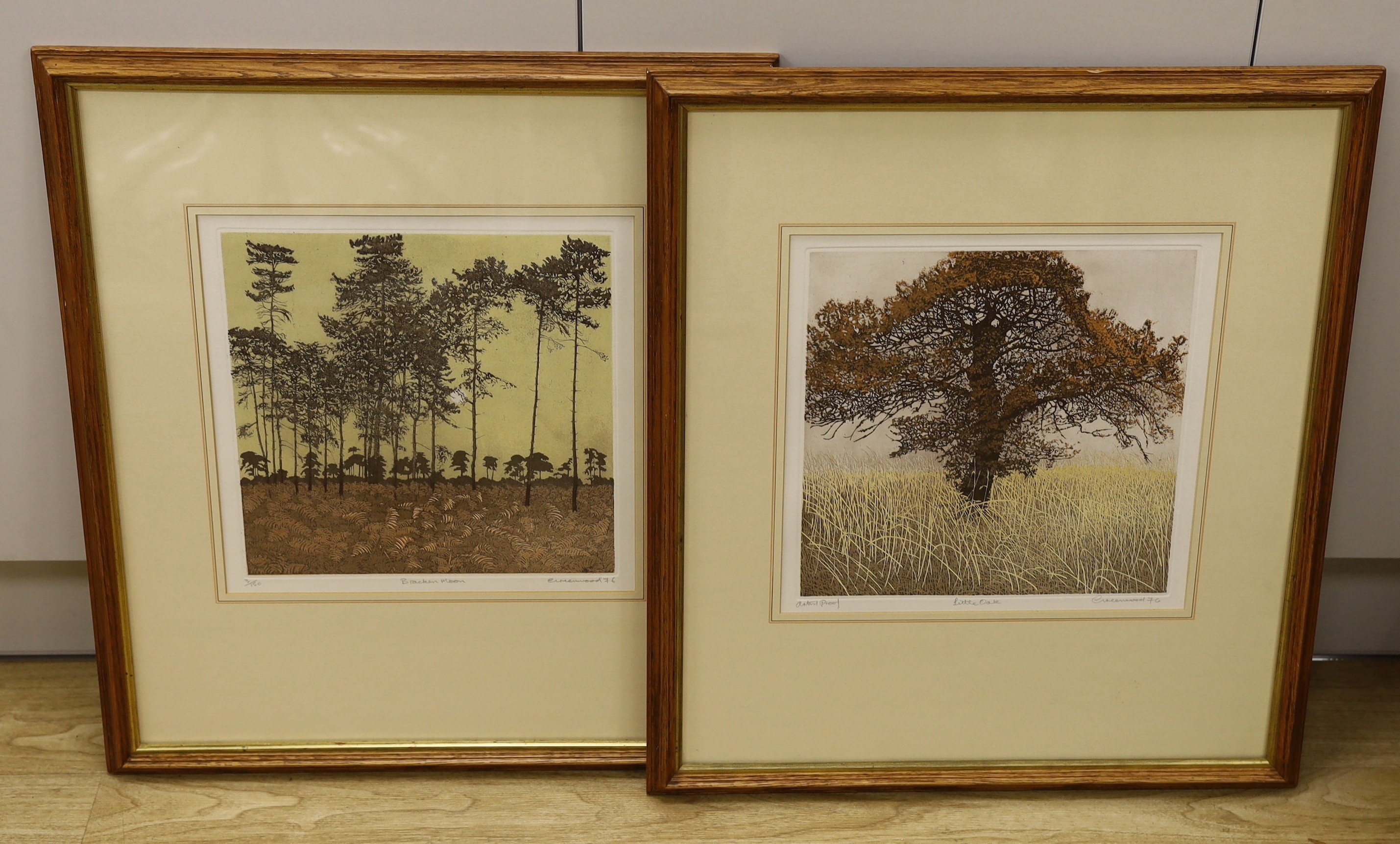 Phil Greenwood, pair of limited edition prints, 'Little Oak' and 'Bracken Moon', signed in pencil and dated '76, 3/150, 29 x 29cm